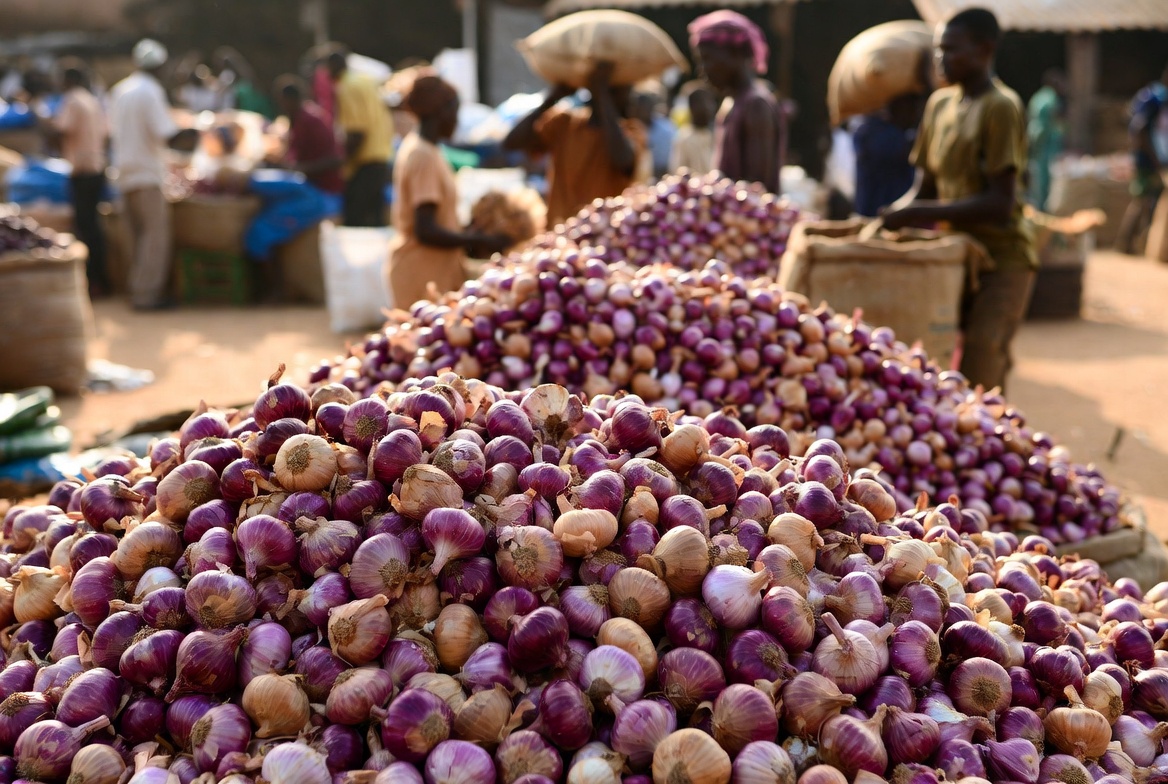 Oignon Galmi niébé sésame export Niger